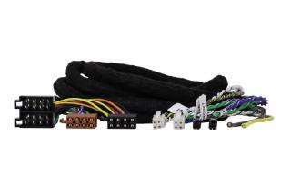 Phoenix Gold ZDC-ISOX2
