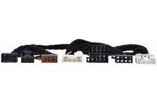 Phoenix Gold ZDT-TOY2