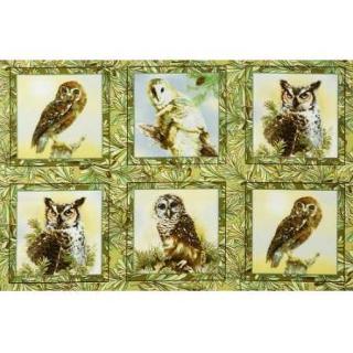 Giordano Studios Owls of Wonder Panel