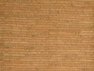 Stof Korek - Cork natural