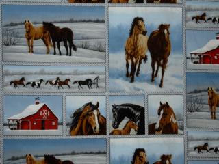Studio E fabrics Horse Whisperer Multi