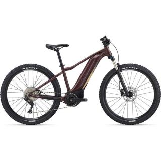 Horské elektrokolo Liv Tempt E+ 1 29er Figuier M23 Modelový rok: 2023, Velikost kola: M
