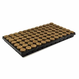 Agra-Wool Speedgrow Plug 38 x 35 mm 84 ks