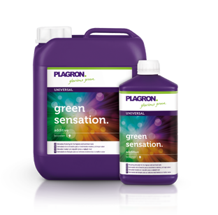 Plagron Green Sensation 1 l