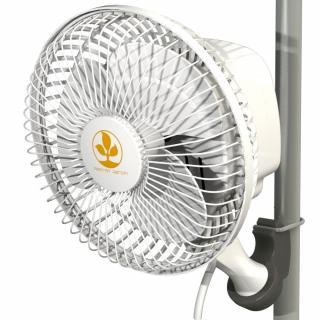 Secret Jardin MONKEY FAN