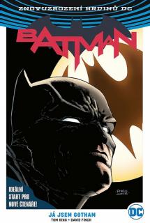 Batman: Já jsem Gotham