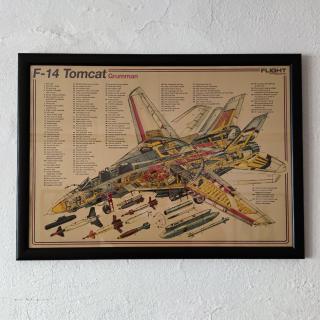 zarámovaný obraz Grumman F-14 Tomcat