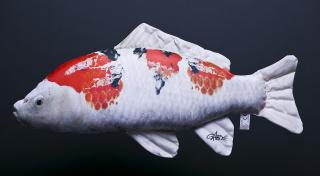 KOI KAPR - Sanke    60cm