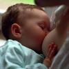 Kurz: Technika správného kojení