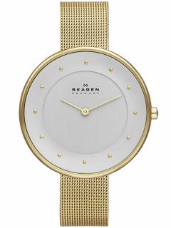 Dámské hodinky Skagen SKW2141 Dámské hodinky gold mesh 38 mm