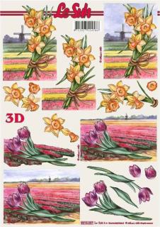 3D papíry - Narcisy a tulipány