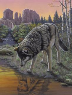 Malování podle čísel 22x30cm - Vlk