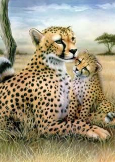Malování podle čísel Malování podle čísel OLEJOVÝMI PASTELY - Leopardi