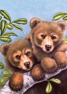 Malování podle čísel OLEJOVÝMI PASTELY - Medvídek