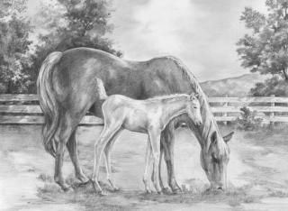 Malování podle čísel SKICOVACÍMI TUŽKAMI - Kůň a hříbě