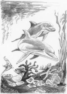 Malování SKICOVACÍMI TUŽKAMI - Delfíni