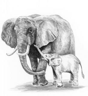 Malování SKICOVACÍMI TUŽKAMI - Sloní rodinka