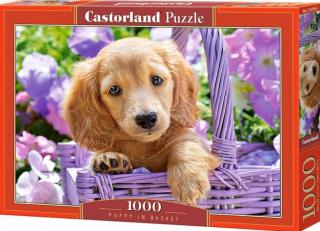 Puzzle 1000 dílků- Štěně labradora ve fialovém košíku