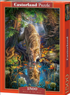 Puzzle 1500 dílků - Pijící vlk v divočině