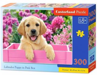 Puzzle 300 dílků - Labrador v růžovém boxu
