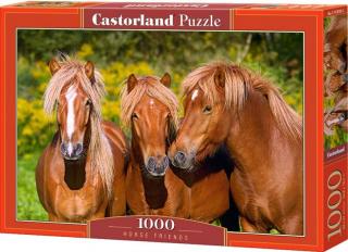 Puzzle Castorland 1000 dílků -  Přátelství koníků