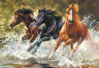 Puzzle Castorland 500 dílků - Koně ve vodě