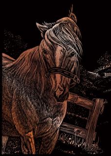Seškrabovací obrázek - mini - Kůň