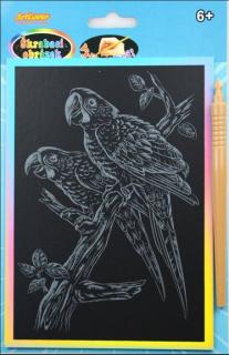 Škrabací obrázek - duhový - papoušek