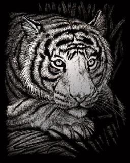 Škrabací obrázek stříbrný 25x20cm -  Tygr
