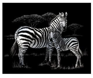 Vyškrabovací obrázek stříbrný 25x20cm - Zebry