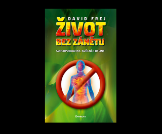 Ecce Vita David Frej Život bez zánětu