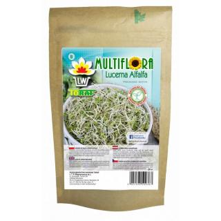 VOJTĚŠKA (ALFALFA) – semínka na klíčení 100 g