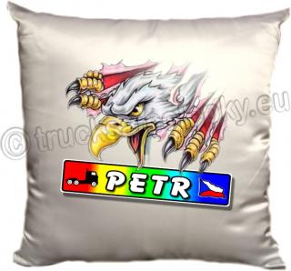Truck polštář ORLICE JMENOVKA