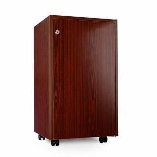 Minibar Design Line RH 465 LD