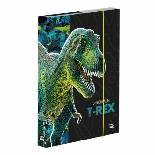 Box na sešity A4 - Dinosaurus