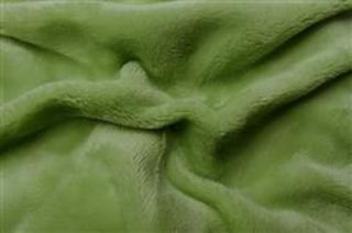 Prostěradlo mikroflanel kiwi (zelená) 90x200x20 cm