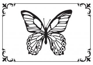 Embosovací kapsa Motýl v rámečku