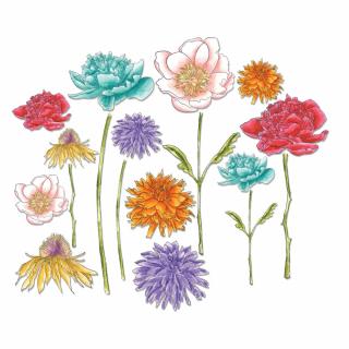 Šablona Framelits - Květiny a stonky