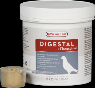 VERSELE-LAGA Digestal 300g