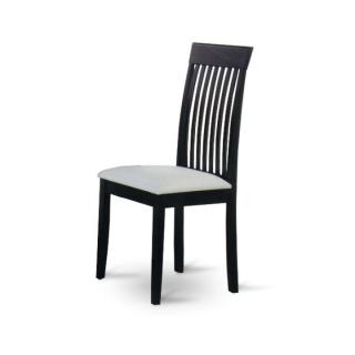 Židle, wenge / bílá ekokůže, ASTRO