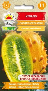 KIWANO AFRICKÁ OKURKA, HIT SEZONY /10 SEMEN/