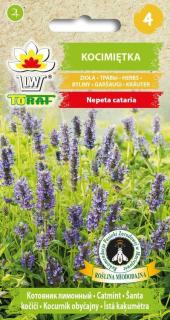 ŠANTA KOČIČÍ (Nepeta cataria) - NĚCO PRO NAŠE MAZLÍČKY 540 SEMEN