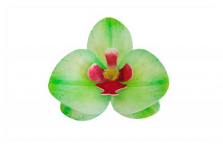 Dekorace z jedlého papíru - orchidej zelená 1ks
