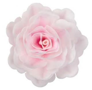 Dekorace z jedlého papíru Růže čínská XL stínovaná růžová