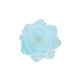 Oplatková růže velká stínovaná modrá - 1 kus