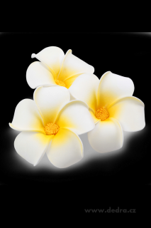 Dedra 3ks dekorativní květ plumeria alba