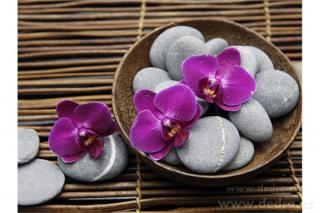Dedra Obraz na plátně fialové orchideje s kameny