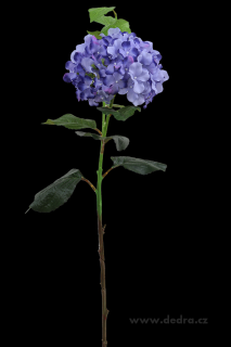 Hortenzie modrá výška 88 cm