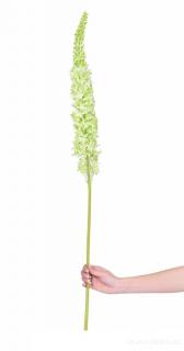 VERONICA bílo-zelená výška cca 130 cm