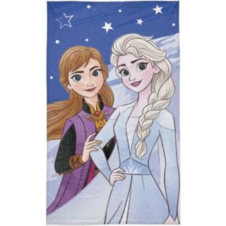 Detexpol Dětský ručník Ledové Království Anna a Elsa 30x50 cm